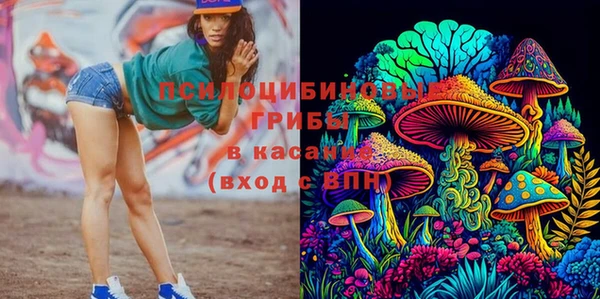 мдма Горнозаводск