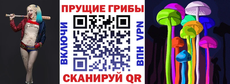 Купить закладки Мичуринск Псилоцибиновые грибы Cubensis